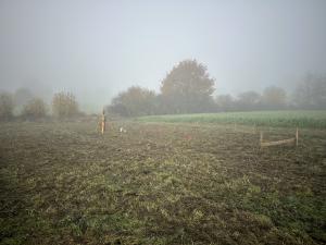 Haus, bauen, Hamburg 03